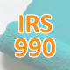 2020 Rise IRS 990